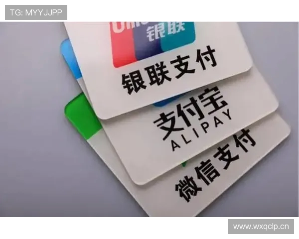 体育场馆移动支付环境的适老化改造方案